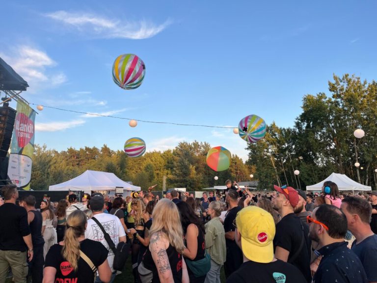Blankit Festival 2025, Impression 1